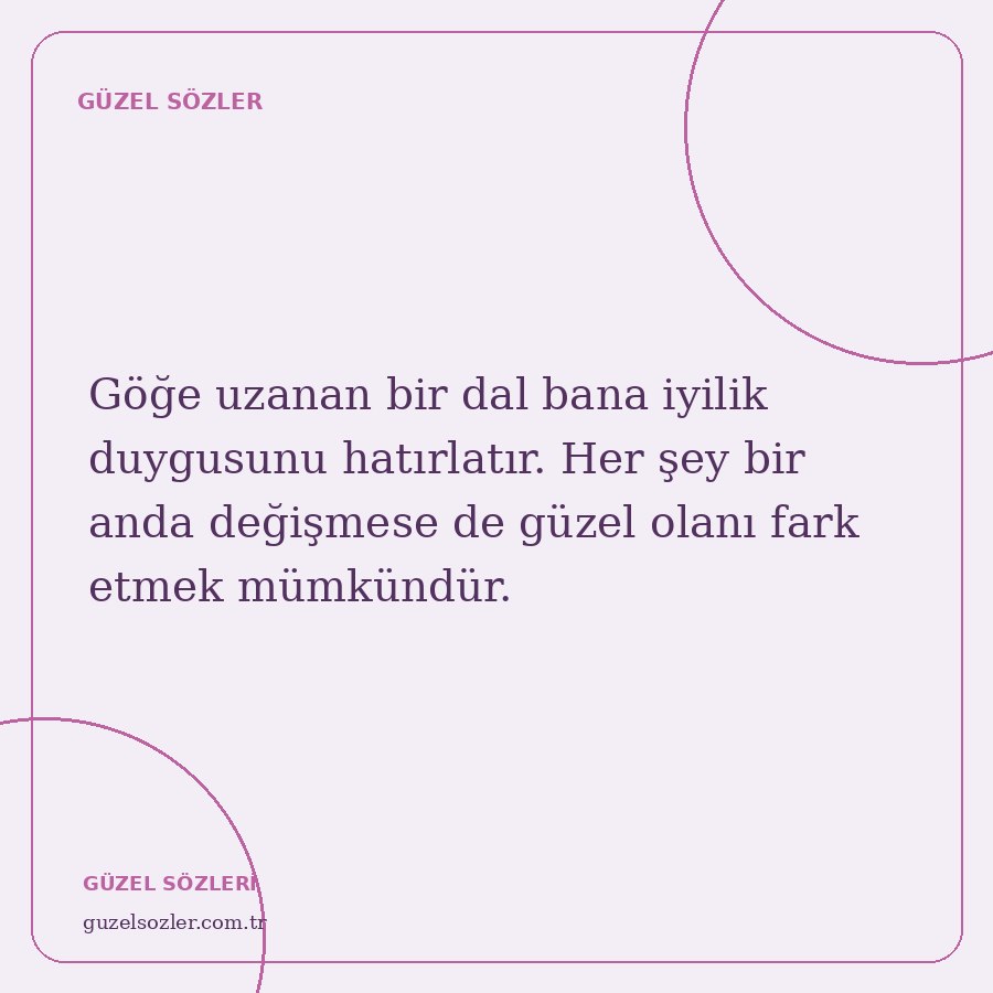 Göğe uzanan bir dal bana iyilik duygusunu hatırlatır. Her şey bir anda değişmese de güzel olanı fark etmek mümkündür.