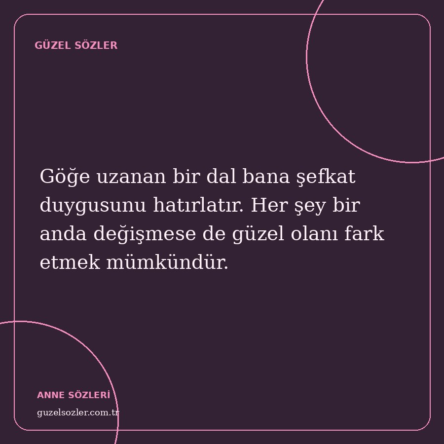 Göğe uzanan bir dal bana şefkat duygusunu hatırlatır. Her şey bir anda değişmese de güzel olanı fark etmek mümkündür.